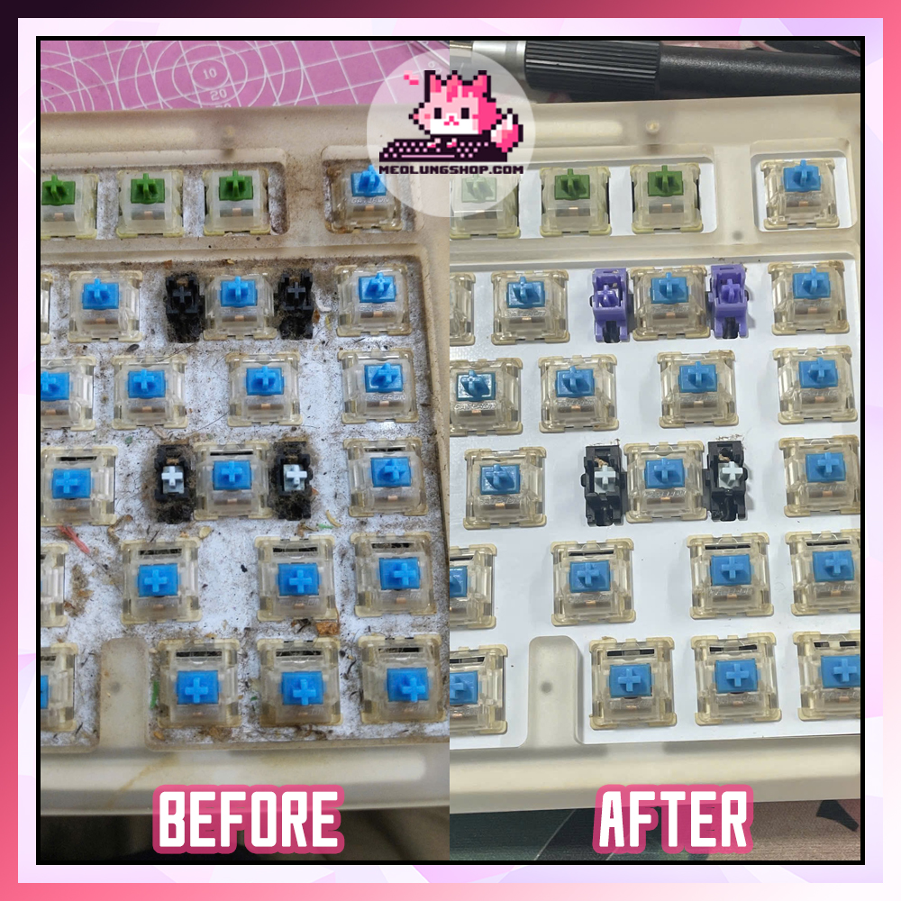 Trước và sau khi vệ sinh switch bàn phím cơ tại Mèo Lủng Shop