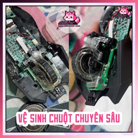 Vệ sinh chuột
